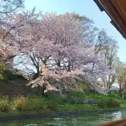 SAWAの画像