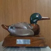 シルバーコレクターの画像