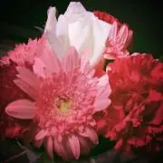 anuenue