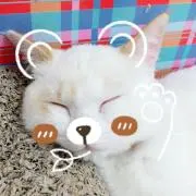 Moonの画像
