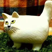 Image of K-K