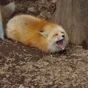 なの画像