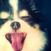 つな