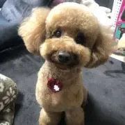 クニクニ