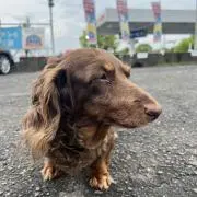 ユウキの画像