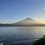 pojaの画像