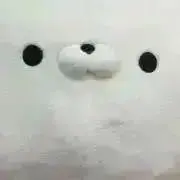 そのだ 断捨離中の画像