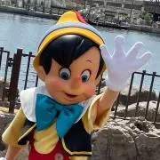 kokoの画像