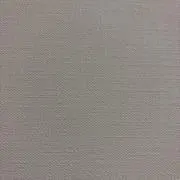 Saayaの画像