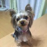 ろみ(๑^︶^๑)・.。:*・♬*
