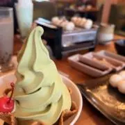 珊瑚 値下げはまとめての場合のみの画像