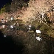 てんとうむし
