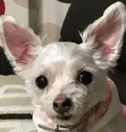 ママ子ちゃんの画像