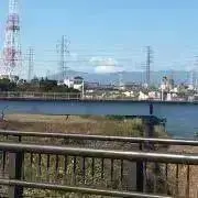 奇跡のインコ