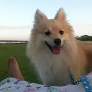 れい