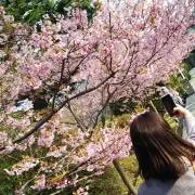 まるちゃんの画像
