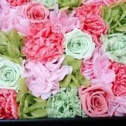 pieの画像
