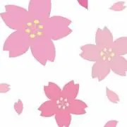 さくらこ♪Shop