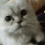 えか★プロフ読んで下さい　発送遅延ありの画像