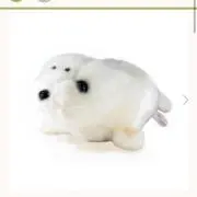 (๑❛ᴗ❛๑)の画像