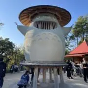 おこめの画像