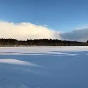 ちーすけの画像