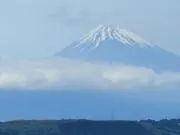 ころんの画像