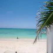 まるぽりんの画像