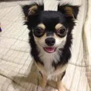 ぶんきち