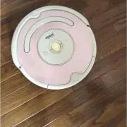 ローズヒップの画像