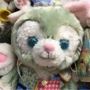 mikanの画像