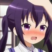 三毛猫