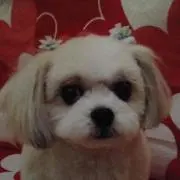 ♡ミルク♡