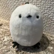 にじ☆の画像