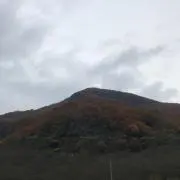 4410の画像