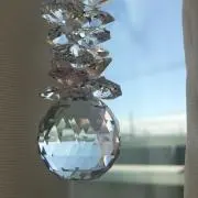 ジャスミンちゃんの画像