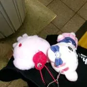 Mの画像