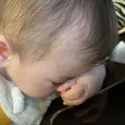 さとの画像