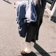 わんの画像