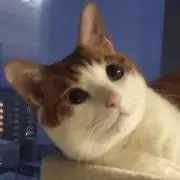 クロエ
