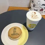 すぬこの画像