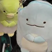 ぴの画像