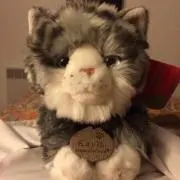 すしざんまいの画像