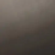 S.I (プロヒ必読)の画像