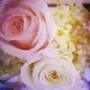 とくら*の画像