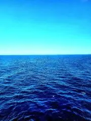 りょうの画像