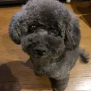 るーく6