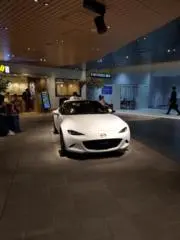 グールライダーの画像