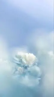kの画像
