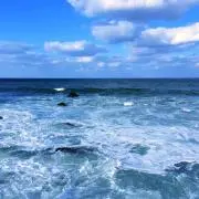 ラパラ